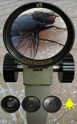 Microscope Realistic android App screenshot 3